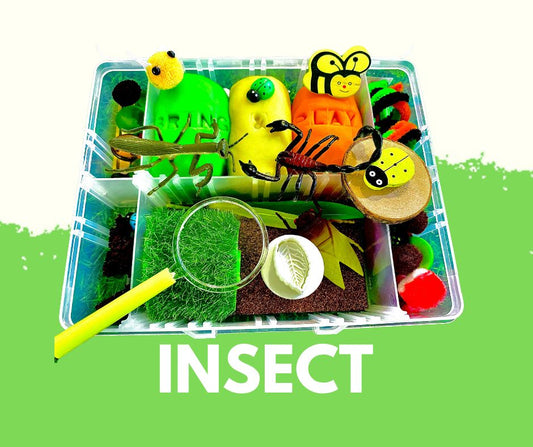 Insect playdough sensory toy